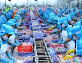 Bài 3: Những bất cập trong quy định pháp luật cần thay đổi
